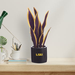 2 Pack - LSU Tigers Faux Snake Plant