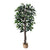 Ficus Tree 5 Feet with wicker pot
