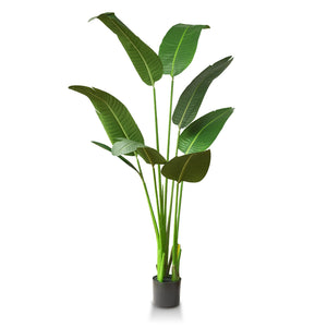 Artificial Plant 4 Ft