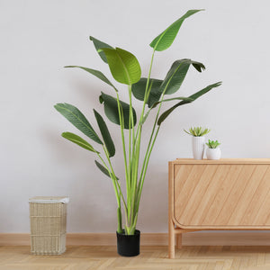 Faux Bird of Paradise Tree 6 Feet