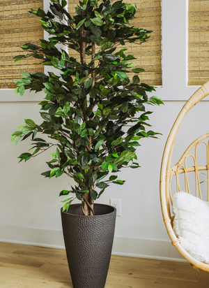 Artificial Ficus Silk Tree 6 Feet