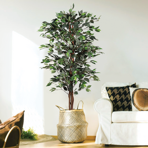 Artificial Ficus Silk Tree 5 Feet