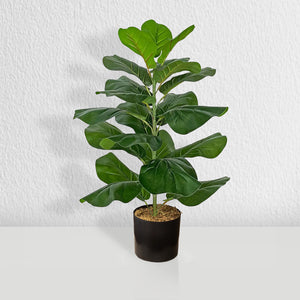 Faux Ficus Lyrata Plant 2.5 Feet