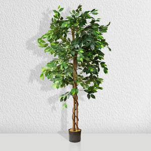 Artificial Ficus Silk Tree 6 Feet