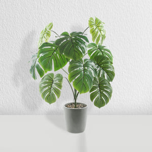 Artificial Plant 2 Ft
