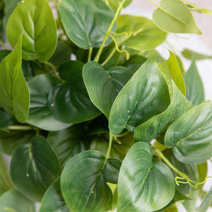 Artificial Pothos Plant in Black Pot