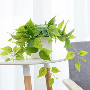 Artificial Pothos Plant in White Pot