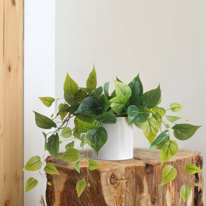 Artificial Pothos Plant in White Pot