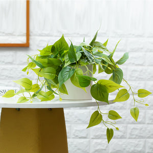 Artificial Pothos Plant in White Pot