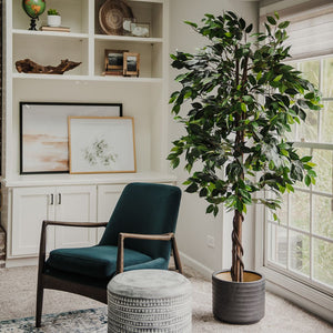 Artificial Ficus Silk Tree 6 Feet