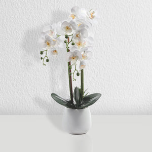 Faux White Orchid Flower in Ceramic Pot