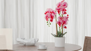 Faux Pink Orchid Flower in White Pot