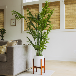 Fake Palm Tree and Ficus Silk Tree 5 Feet
