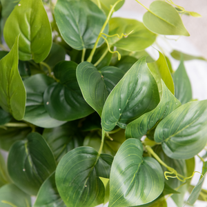 Artificial Pothos Plant in White Pot -2 Pack