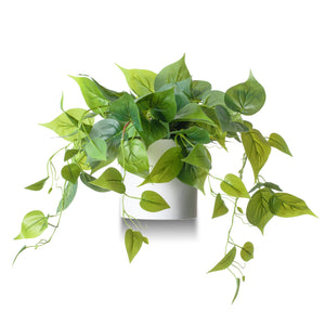 Artificial Pothos Plant in White Pot