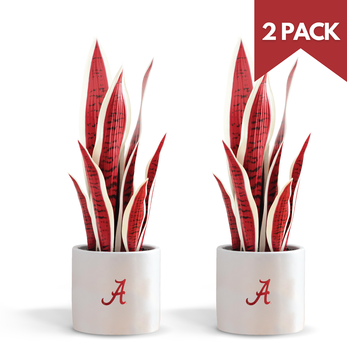 2 Pack - Alabama Crimson Tide Faux Snake Plant