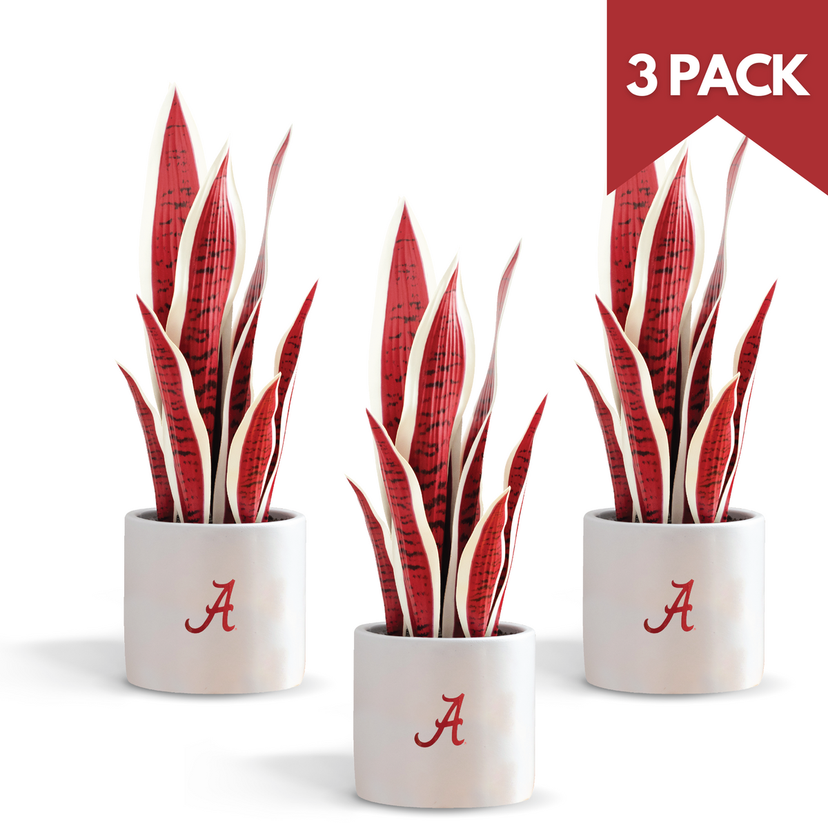 3 Pack - Alabama Crimson Tide Artificial Snake Plant