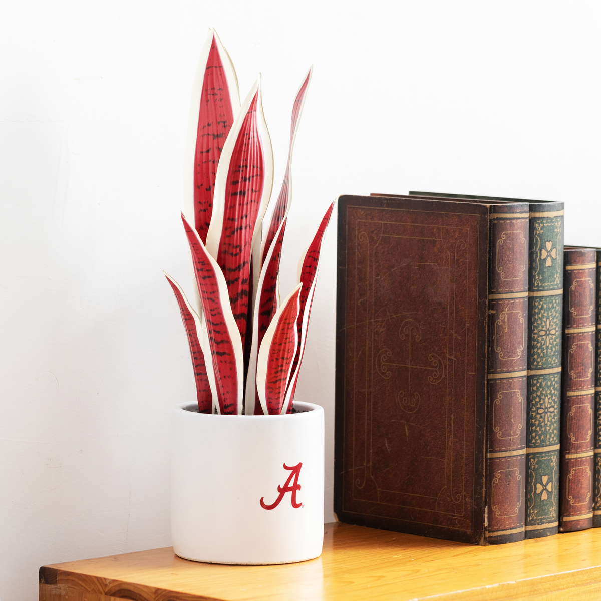 2 Pack - Alabama Crimson Tide Faux Snake Plant
