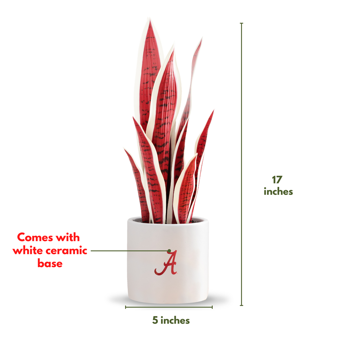 2 Pack - Alabama Crimson Tide Faux Snake Plant