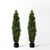 (2 Pack) 4 Ft Cedar Boxwood Topiary
