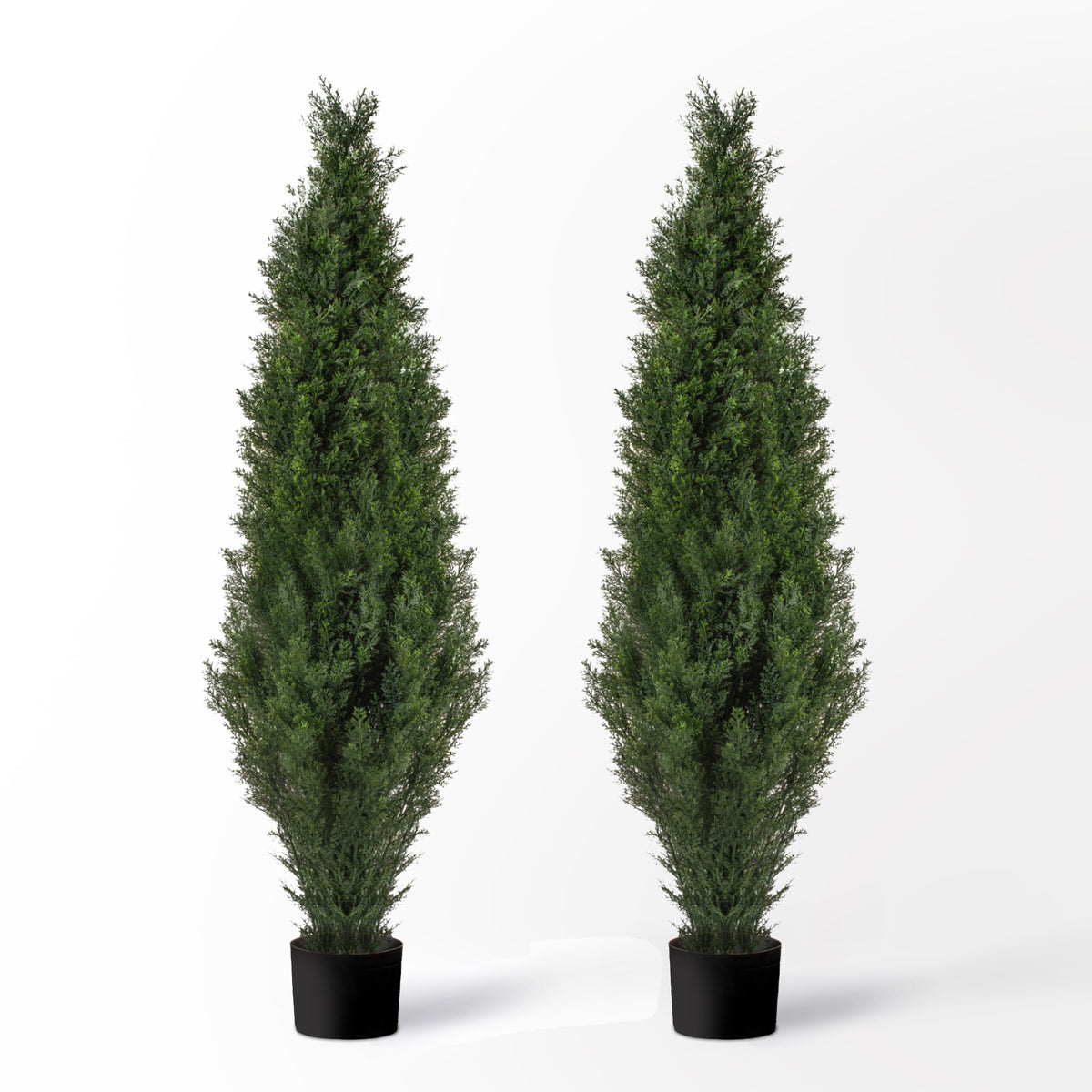 (2 Pack) 5 Ft Cedar Boxwood Topiary
