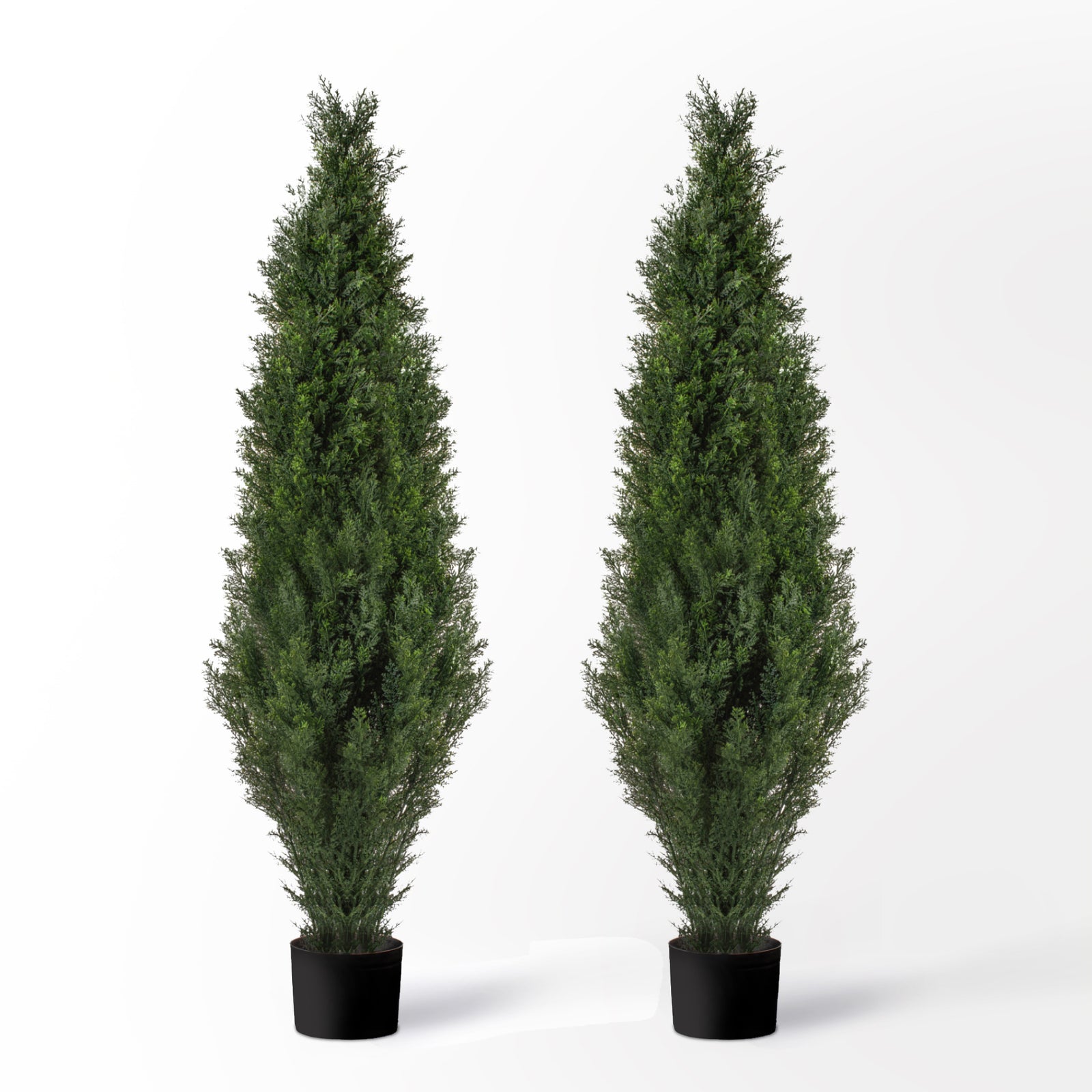 (2 Pack) 5 Ft Cedar Boxwood Topiary