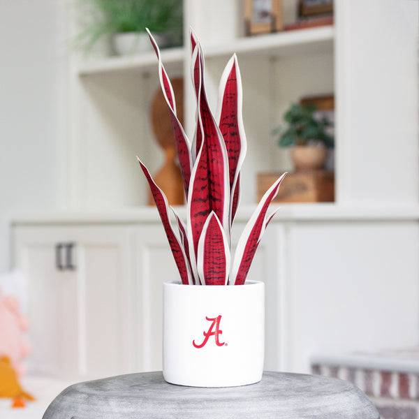 redbook snake plant Alabama Artificial Snake Plant- Best Gift for the Crimson Tide Fan