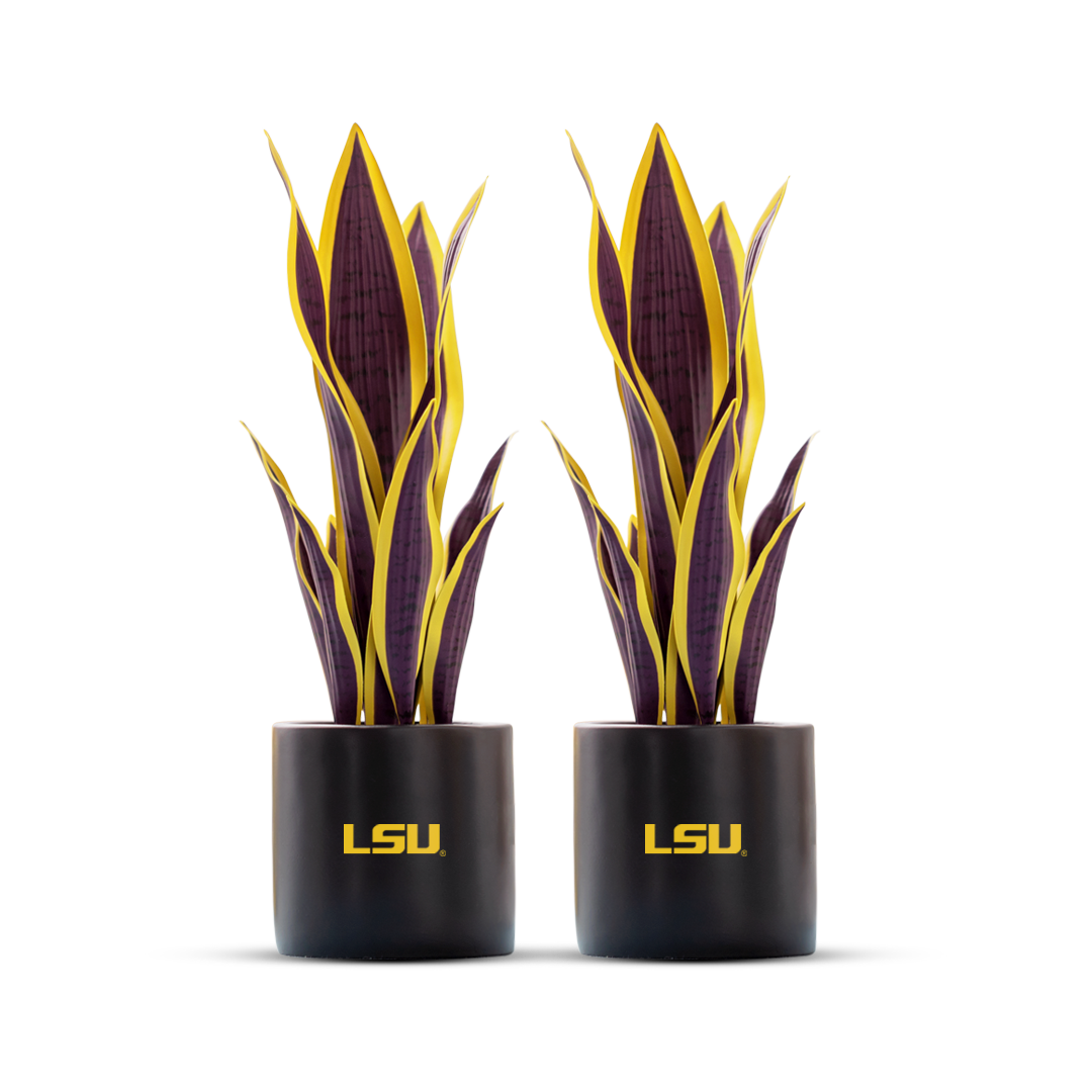 2 Pack - LSU Tigers Faux Snake Plant