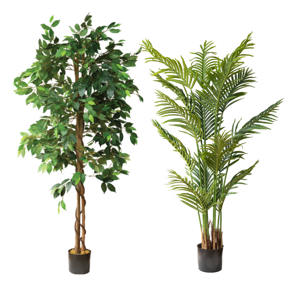 Fake Palm Tree and Ficus Silk Tree 5 Feet