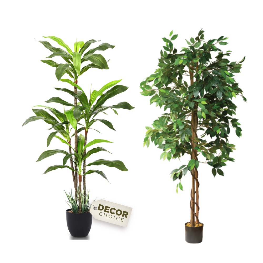 dracaena silk tree Dracaena and Ficus Silk Tree 5 Ft - Fake Trees Indoors