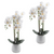 Faux White Orchid in Ceramic Pot - 2 Pack