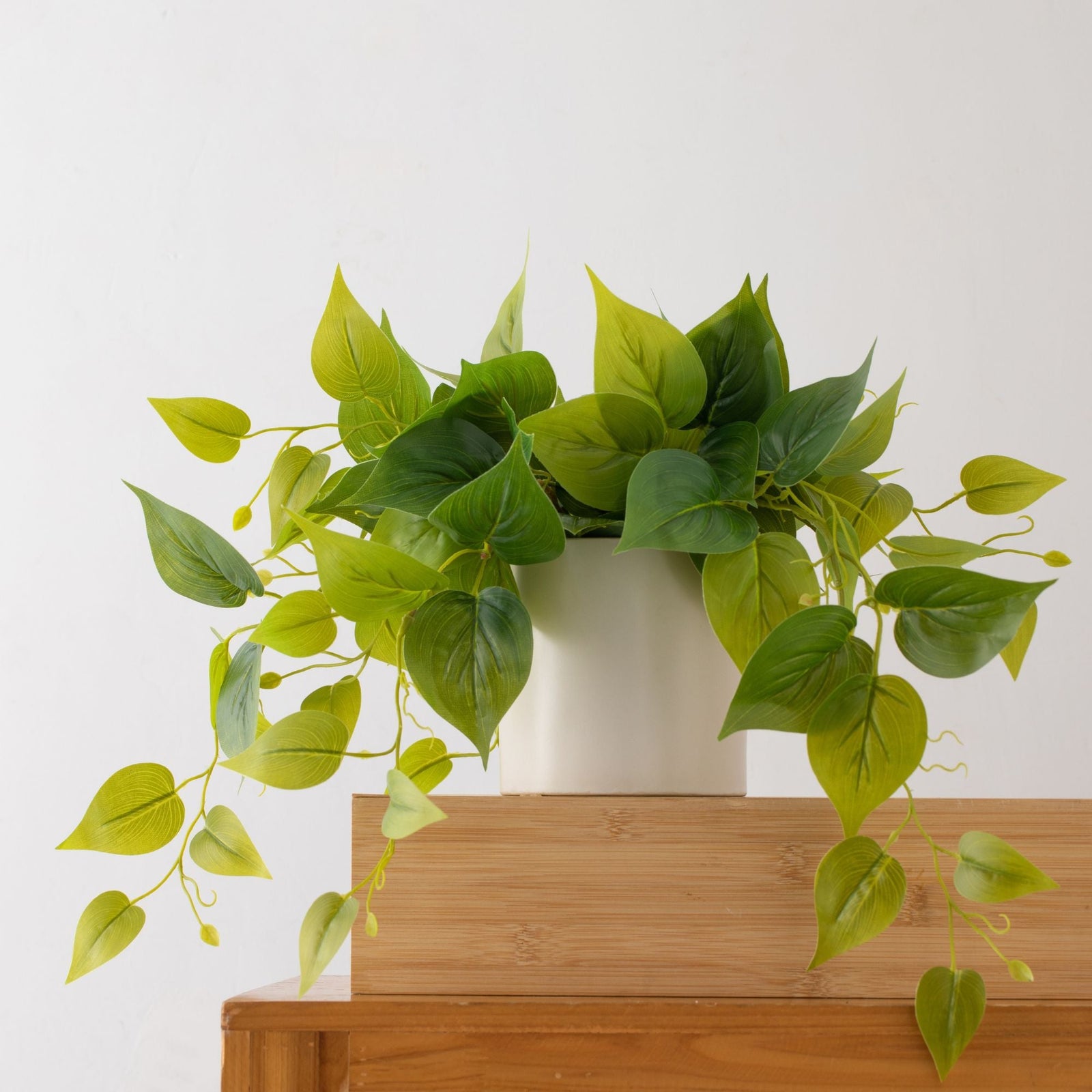 Artificial Pothos Plant in White Pot -2 Pack