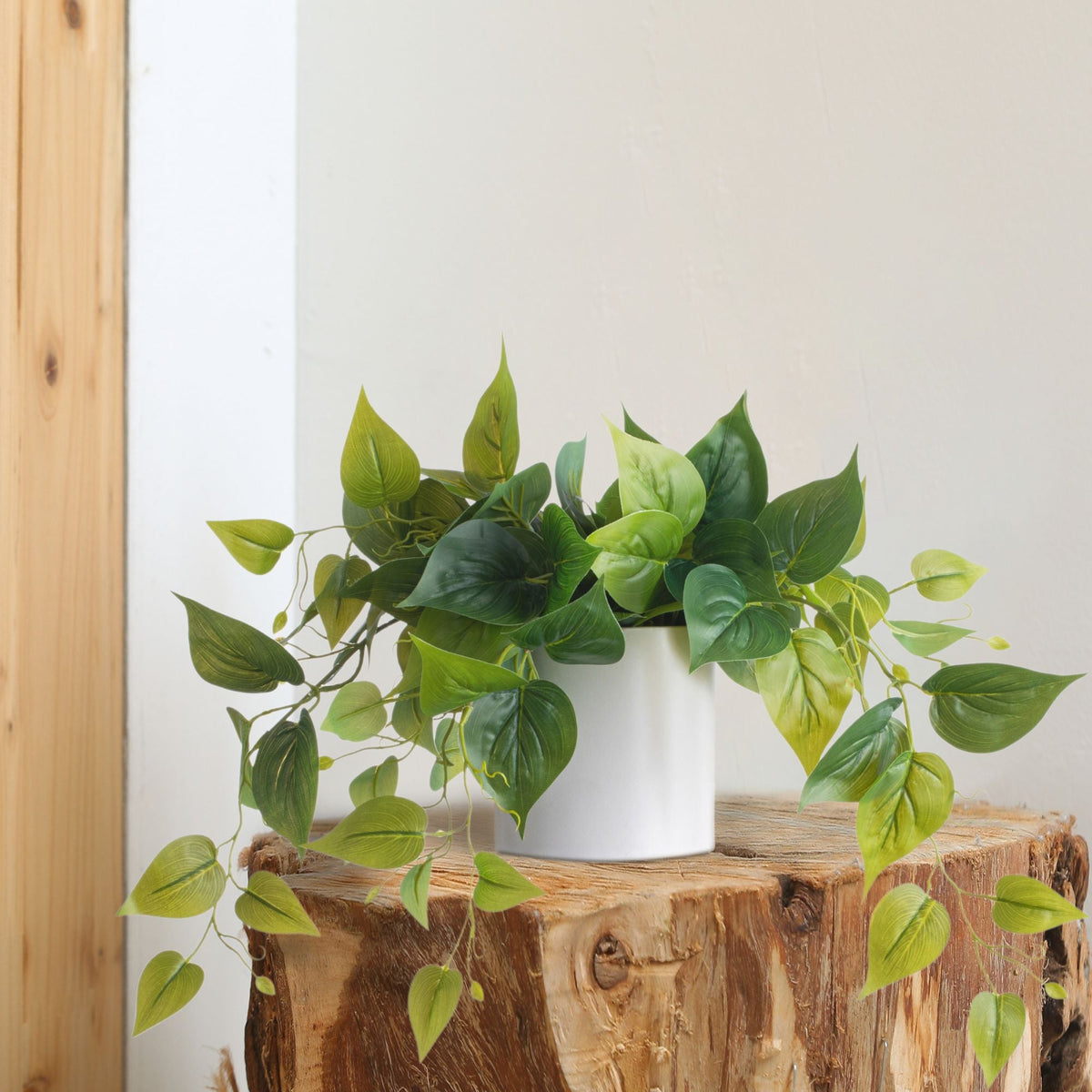 Artificial Pothos Plant in White Pot- 3 Pack