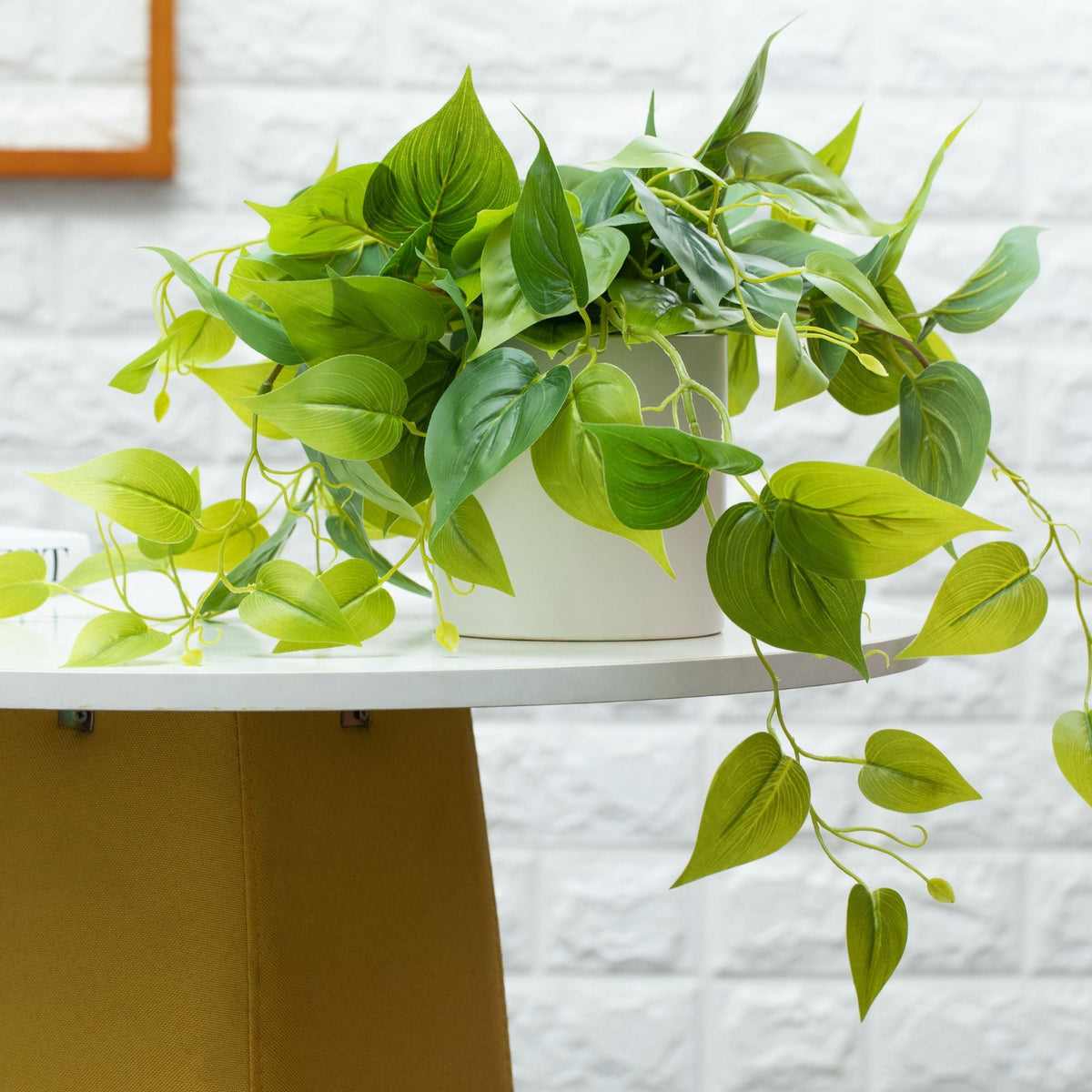 Artificial Pothos Plant in White Pot- 3 Pack