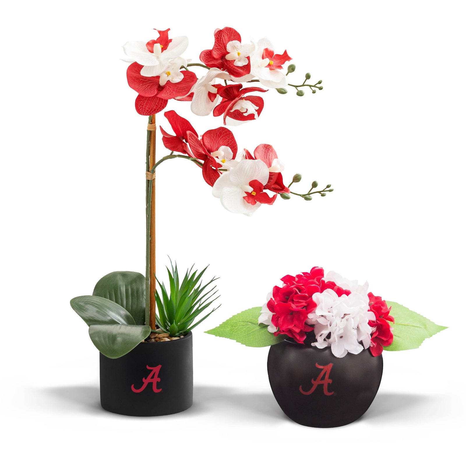 Alabama Fan Favorite (hydrangea+orchid)