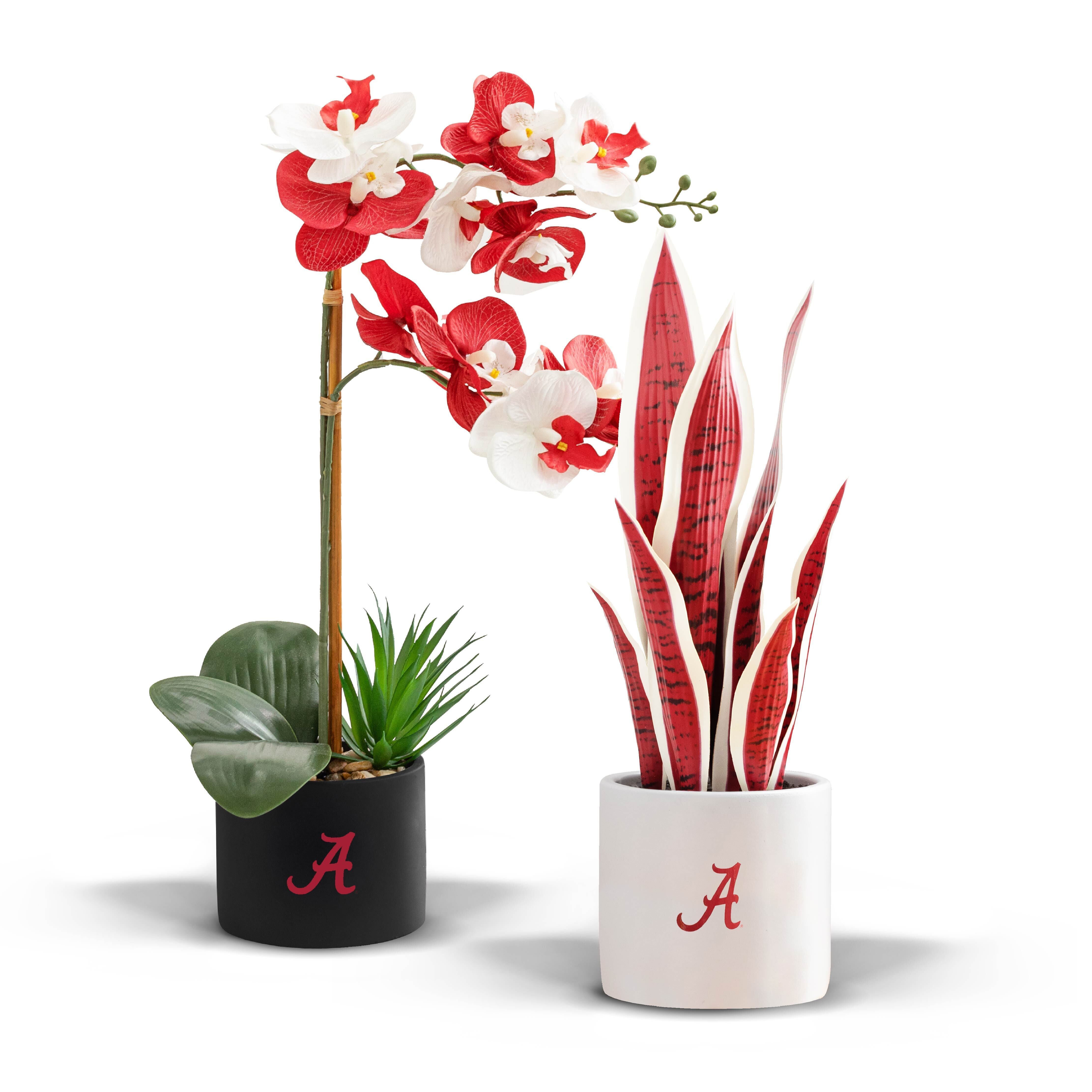 orchids snake plant 20 in. Alabama Crimson Tide Artificial Snake Plant and Orchid