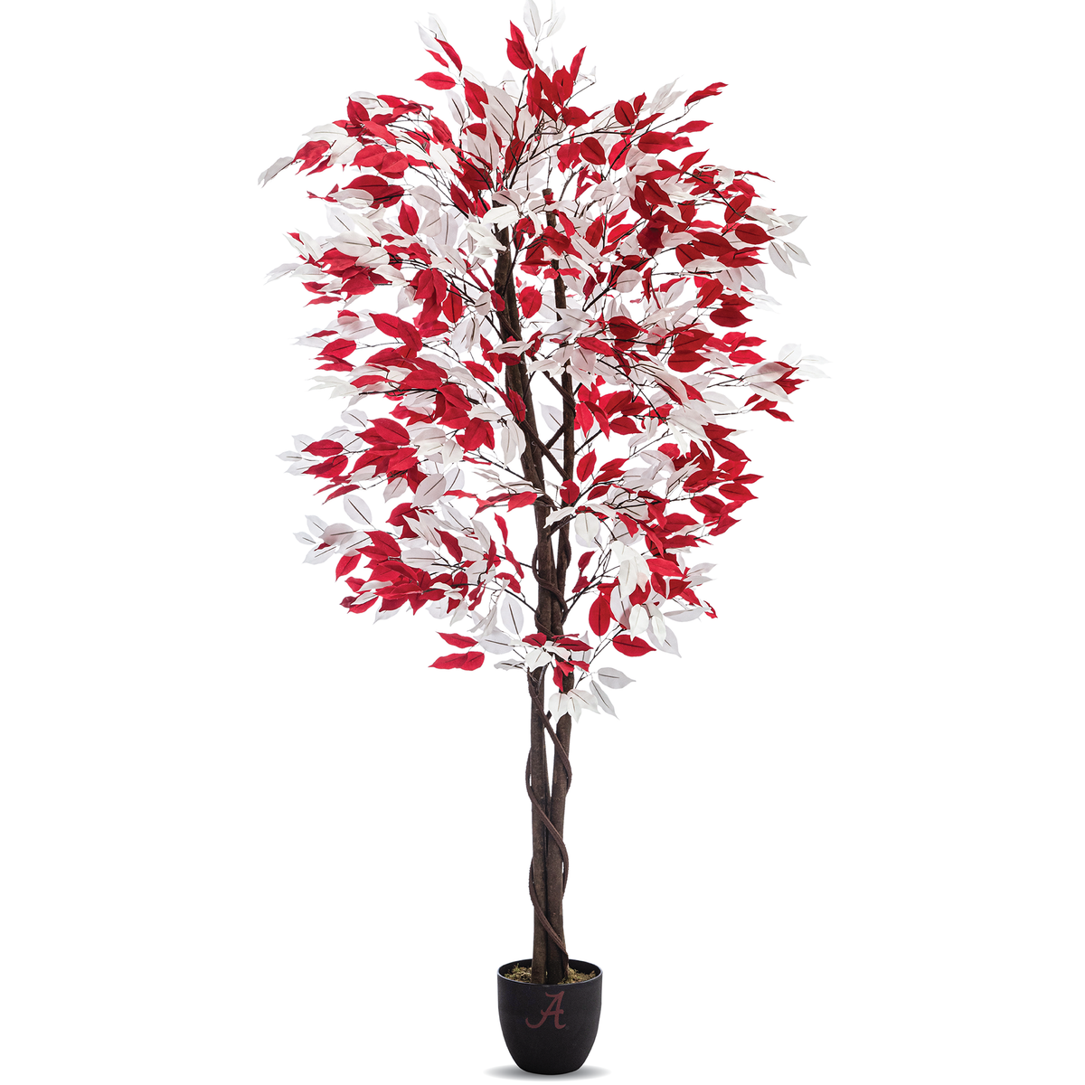 alabama crimson tide gift ficus