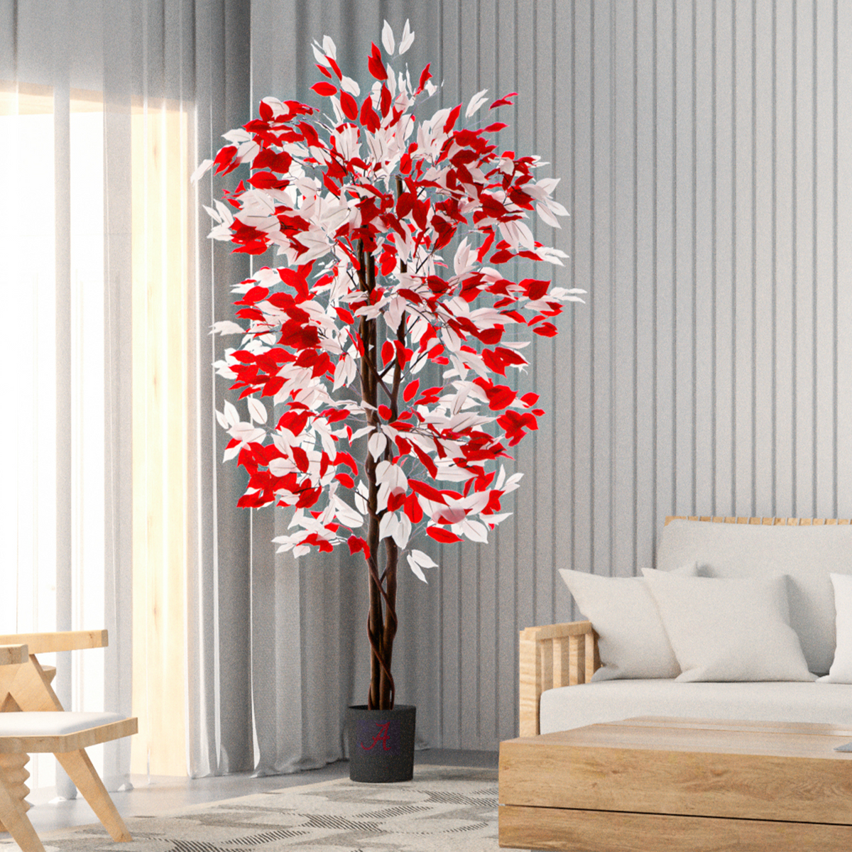 university of alabama gift - ficus tree