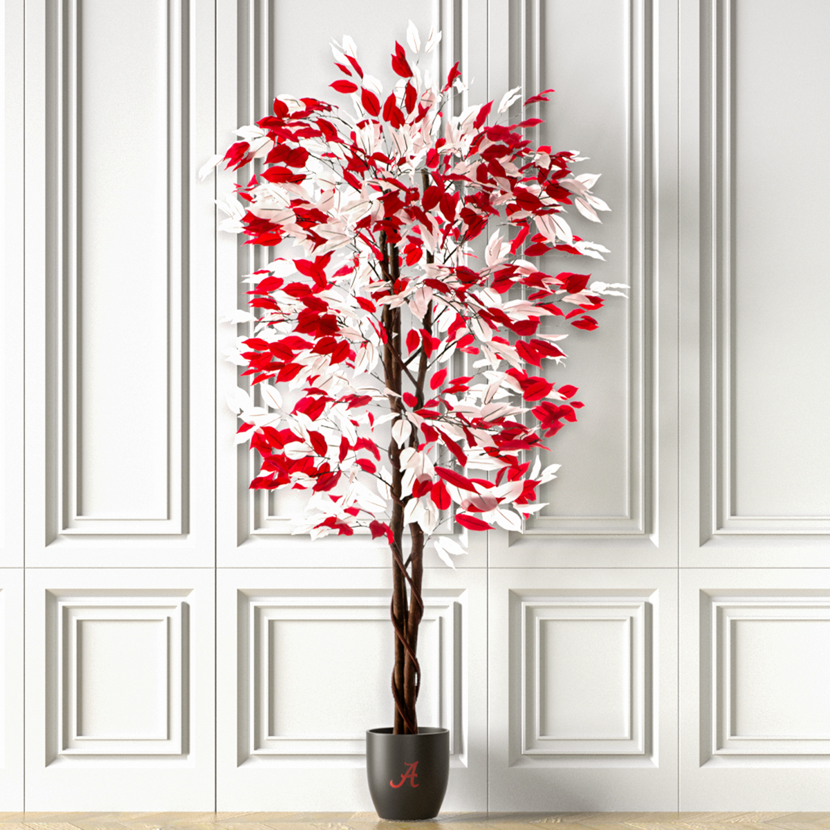 Alabama ficus tree in ceramic pot