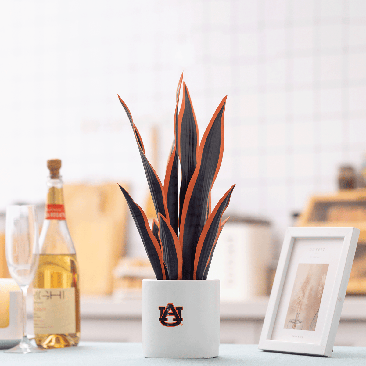 Auburn War Eagle Faux Snake Plant
