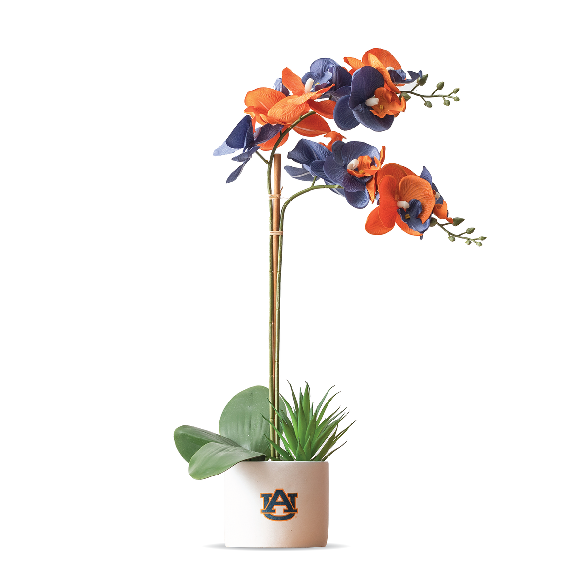 Auburn War Eagle Faux Orchid
