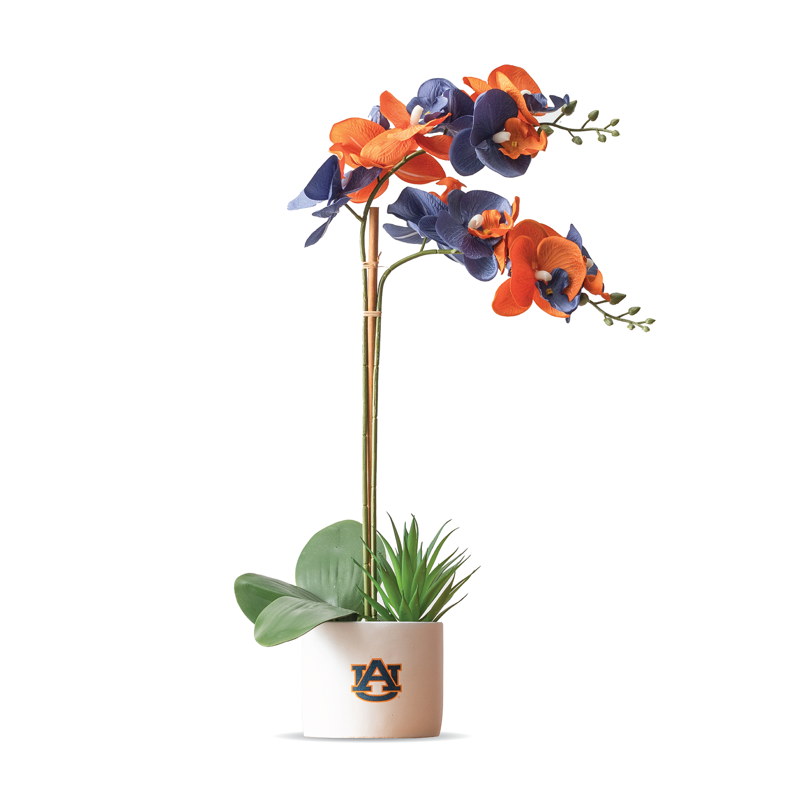 Auburn War Eagle Faux Orchid