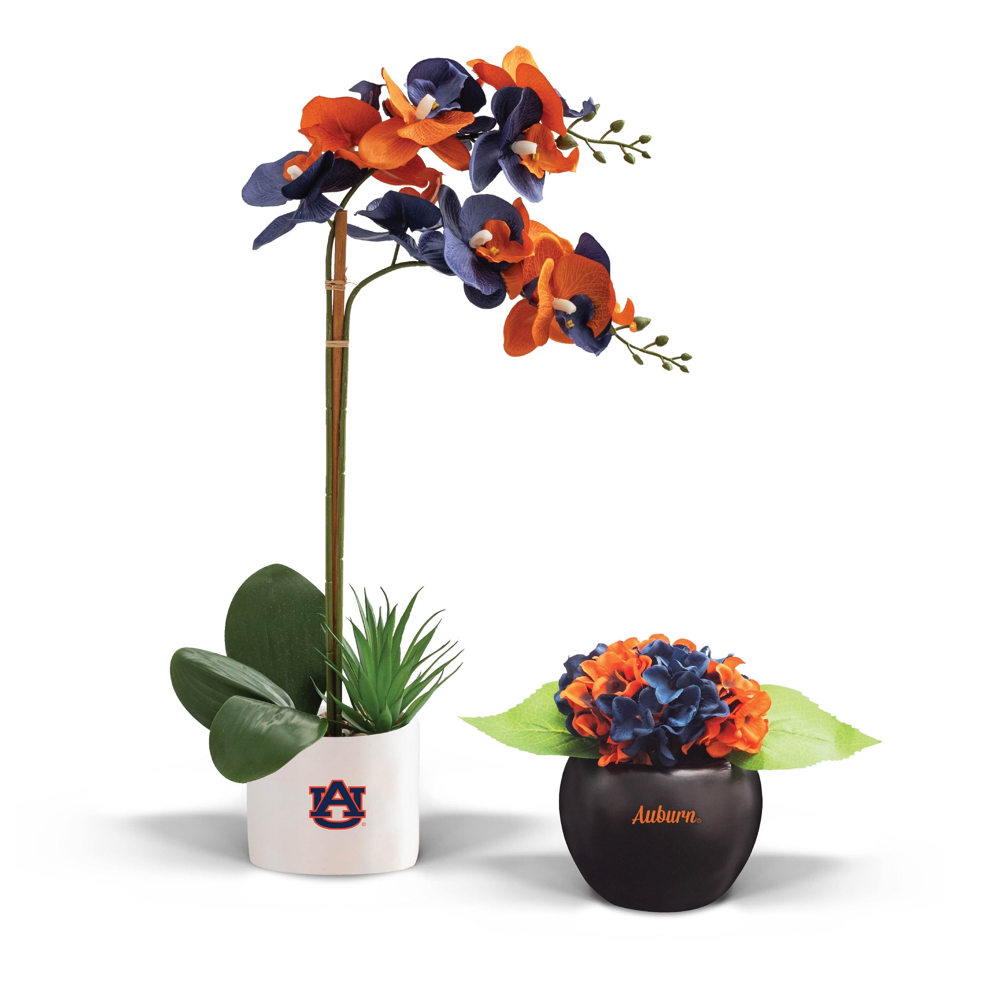 Auburn Fan Favorite (hydrangea+orchid)