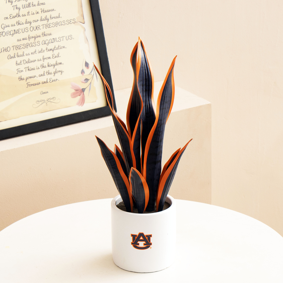 Auburn War Eagle Snake Plant & Orchid