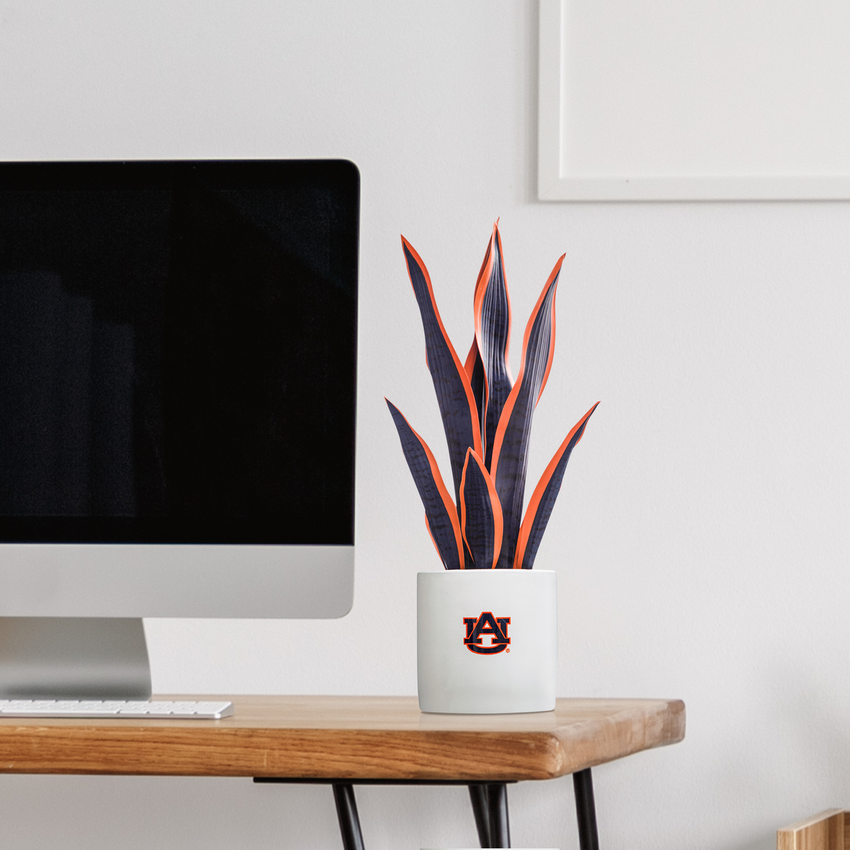 Auburn War Eagle Faux Snake Plant