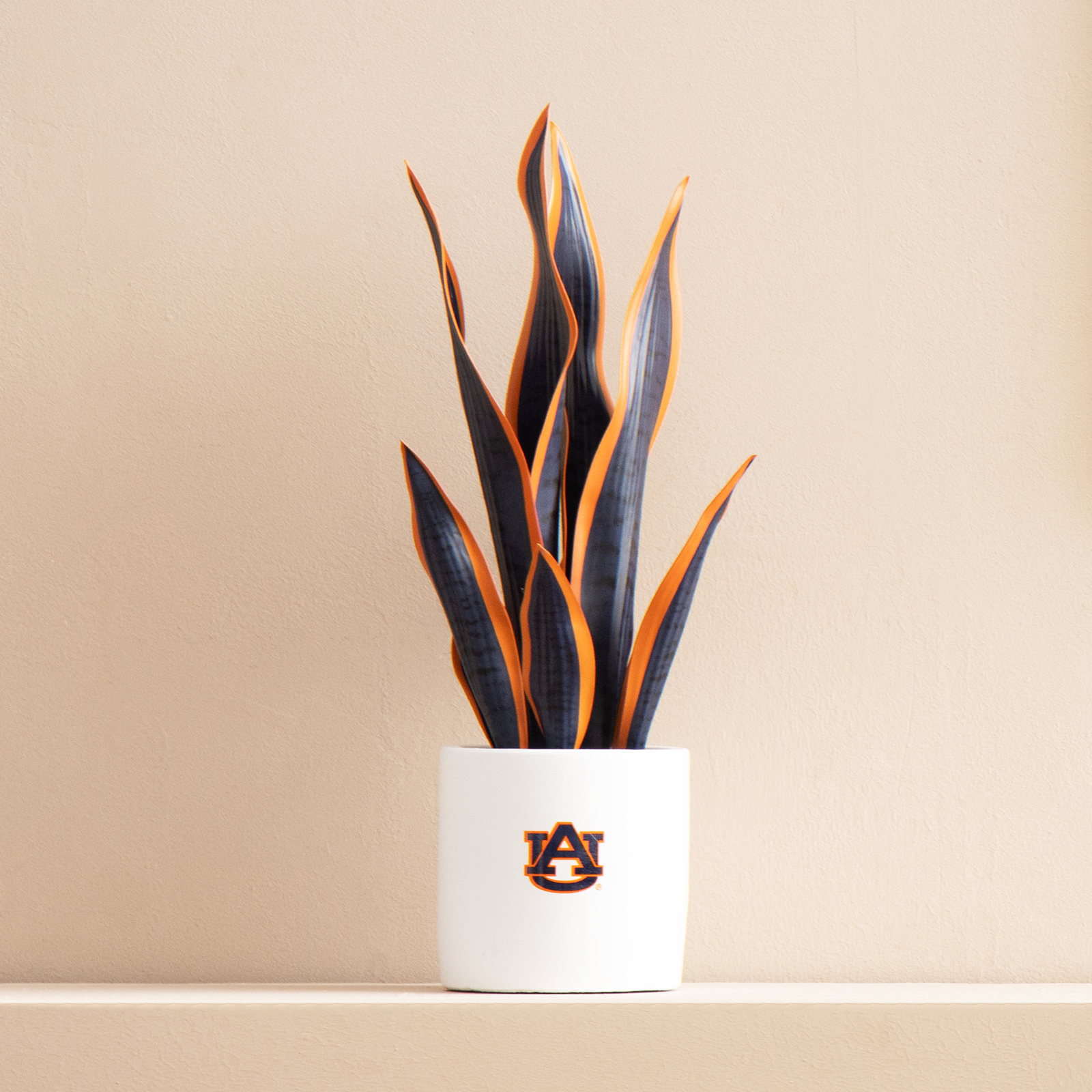 Auburn Fan Favorite (snake+hydrangea)