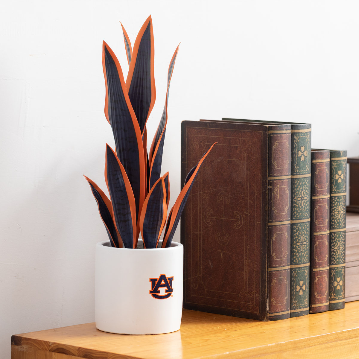Auburn War Eagle Faux Snake Plant