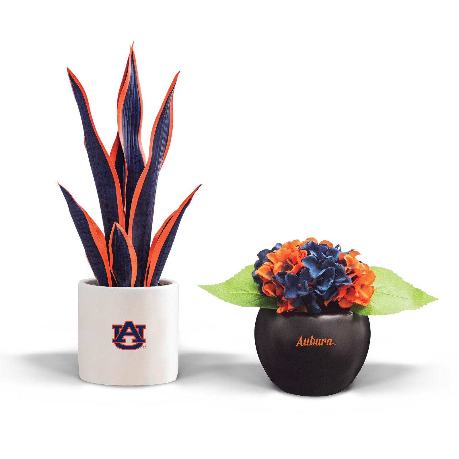 Auburn Fan Favorite (snake+hydrangea)