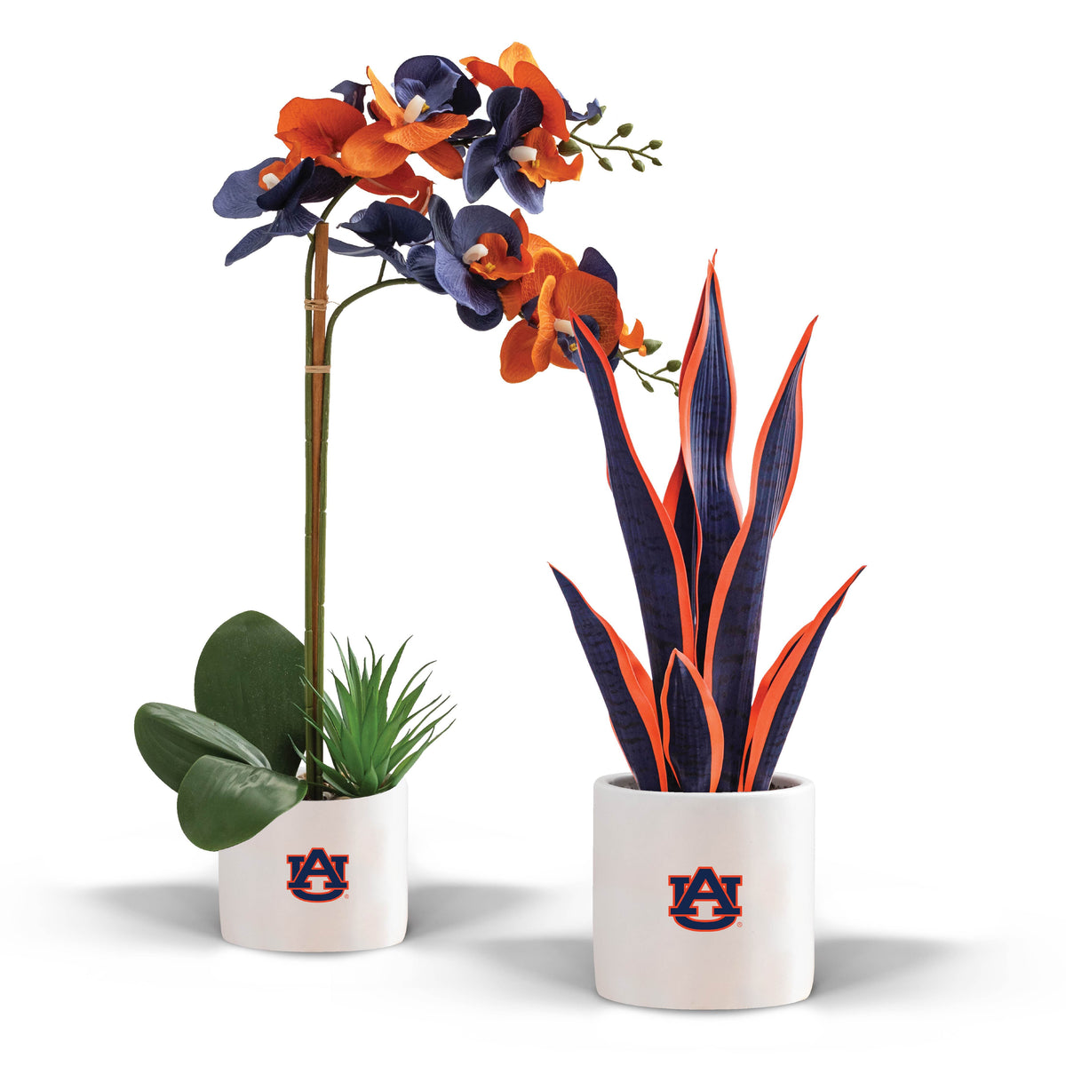 Auburn Fan Favorite (snake+orchid)