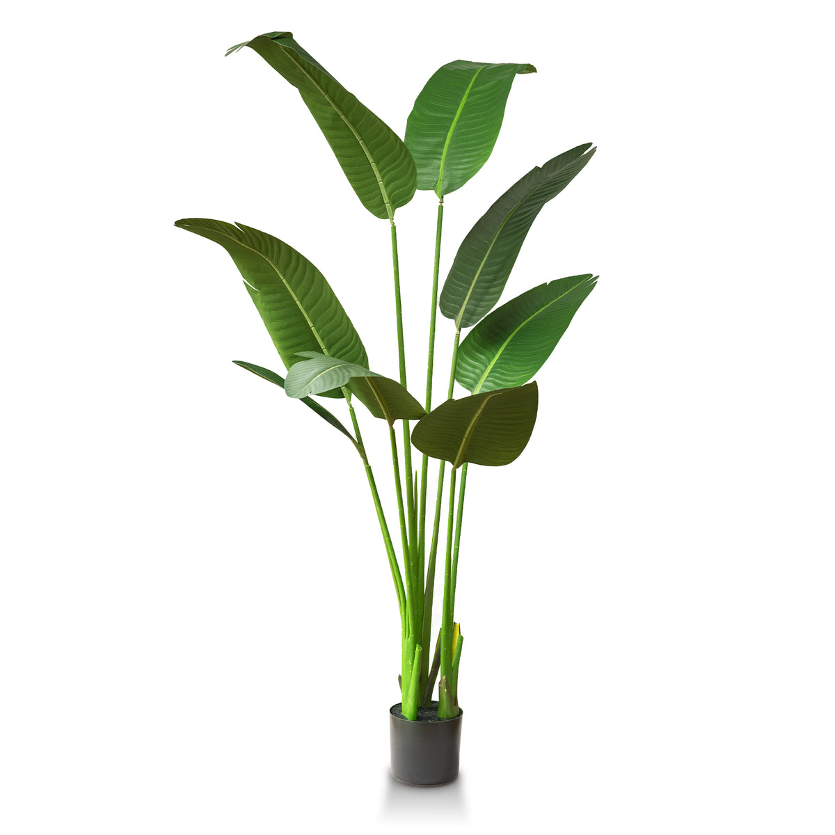 Faux Bird of Paradise 5 Feet